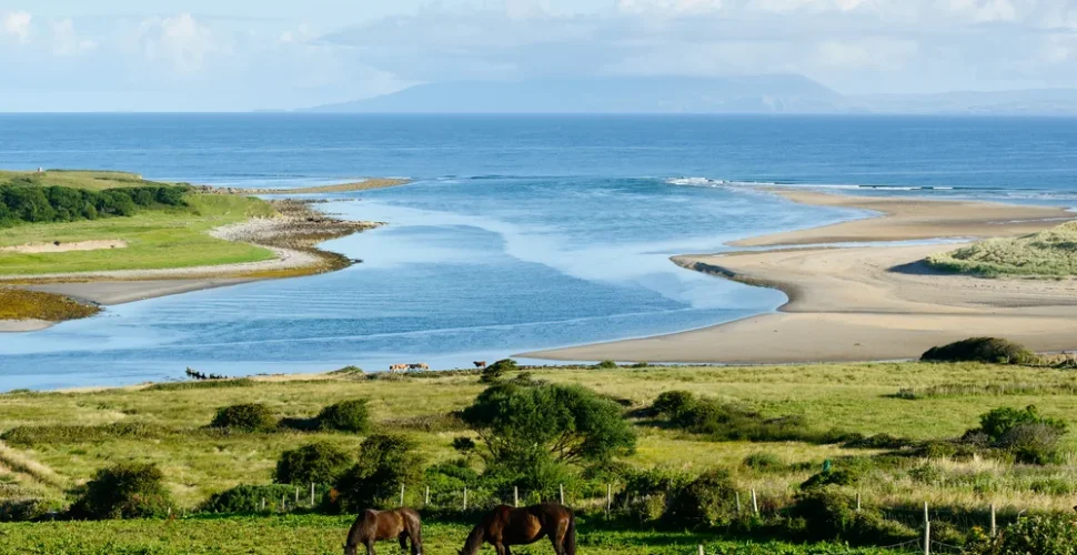 Wilder Ozean, mittelalterliche Burgen und grüne Wiesen – Der Wilde Atlantische Weg in Irland